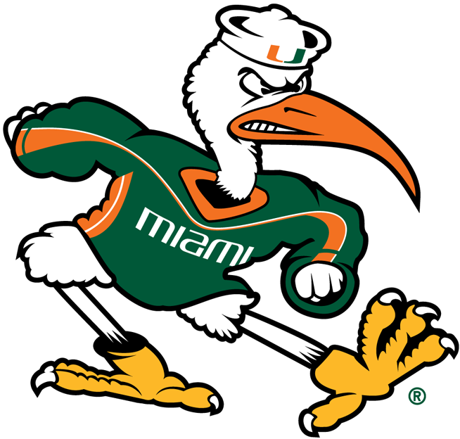 Miami Hurricanes 2000-Pres Alternate Logo v2 diy iron on heat transfer...